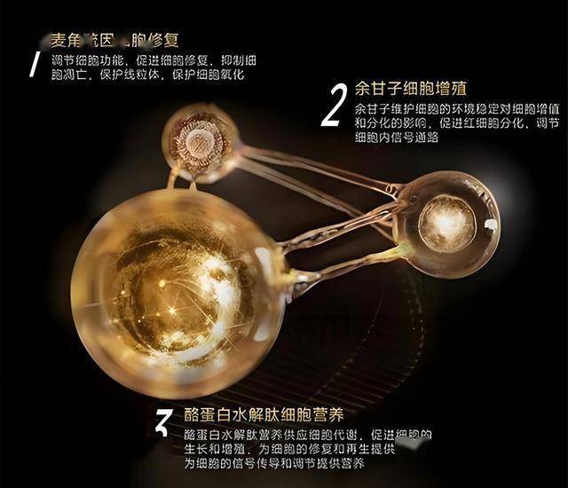 BB Markets蓝莓外汇bbmarkets外汇理财新手必看，这些技巧能让你轻松盈利！